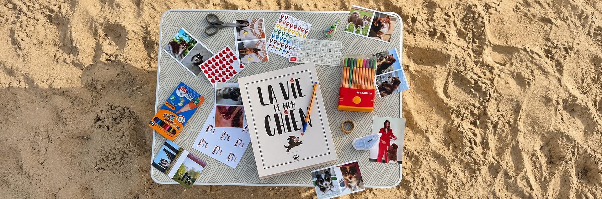 Livrepourchienétécouv